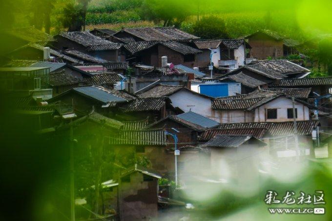 项少龙为什么去秦朝游戏画面