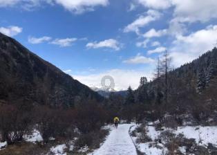 央行行长：将于2月5日下调存款准备金率0.5个百分点